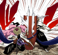 Shunsui and Ukitake activate the Shihōin Shield.