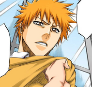 Ichigo claims that his Shinigami life is none of Tatsuki's business.