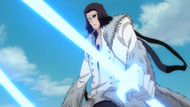 Starrk uses Colmillo to fight Shunsui.