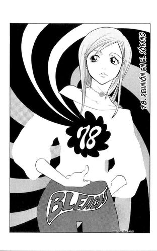 Bleach78portada