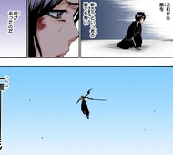 Rukia ruminates on Ichigo's strange demeanor despite apparently emerging victorious.