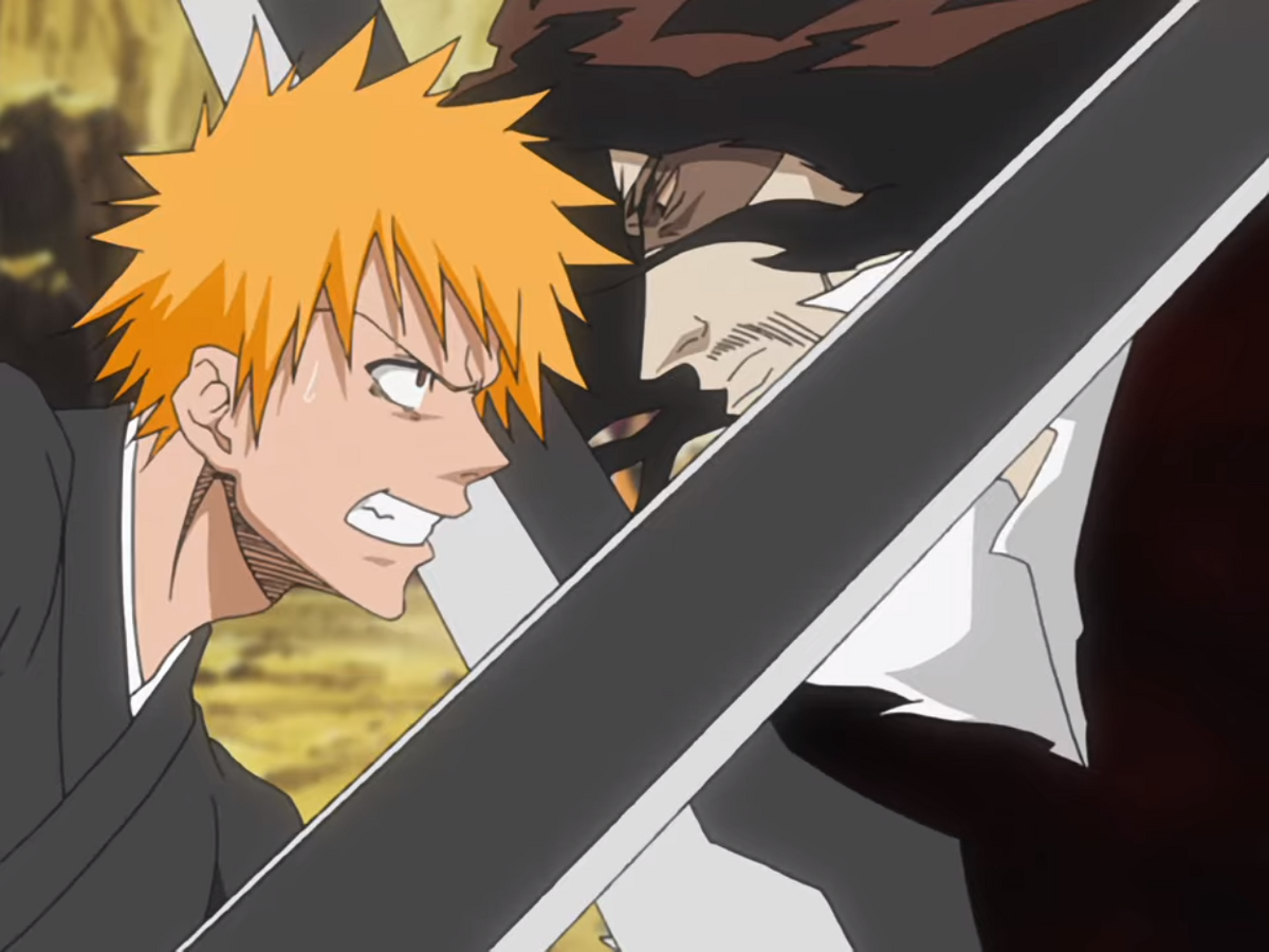 So this was all Zangetsu trying to show Ichigo how to use bankai