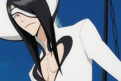 Bleach Brasil - A origem dos poderes de Inoue e Sado