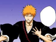 Ichigo declares that he is a Shinigami.