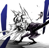 Rukia hits Shrieker with a point-blank Hadō #33. Sōkatsui.