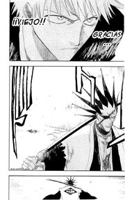 Bleach 111