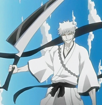 Hollow Shikai