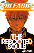 Ichigo on the cover of THE REBOOTED SOULS.