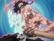 Ikkaku-Transformation