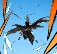 Ichigo defeats Grimmjow by impaling him.