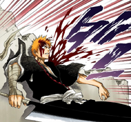 Ichigo collapses as he bleeds heavily.