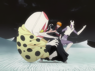 Ichigo Kurosaki attacks Dondochakka.