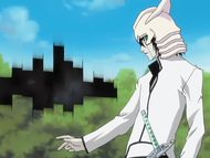 Ulquiorra Cifer, Bleach Wiki