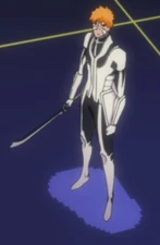 Fullbring de Ichigo (Nombre Desconocido)
