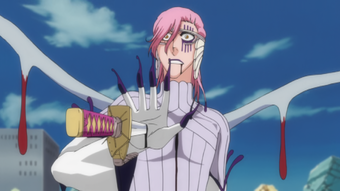 Featured image of post Bleach Arrancar 8