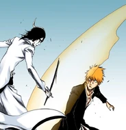Ichigo is protected from Ulquiorra's attack by Orihime's Santen Kesshun.