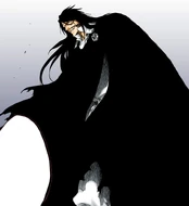 Yhwach declares that the Wandenreich will now invade Soul Society.