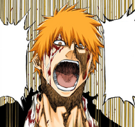 Ichigo yells in anger at Yhwach.