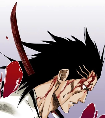 Kenpachi Zaraki Bleach Wiki Fandom Kenpachi zaraki is the captain of the 11th division in the gotei 13. kenpachi zaraki bleach wiki fandom