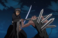 Rukia clashes with Jinnai.