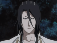 Byakuya, seventeen months after the defeat of Sōsuke Aizen.