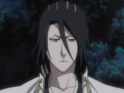 Featured image of post The Best 30 Byakuya Icons Bleach