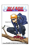 Ichigo on the cover of Chapter 30.