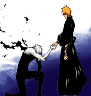 Ichigo selects his Asauchi.