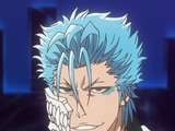 Grimmjow Jaegerjaquez