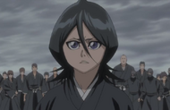 Rukia explains Hitsugaya's actions.