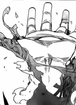 Pernida Parnkgjas Bleach Wiki Fandom