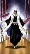 Byakuya approaches Rukia's cell.