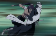 Yoruichi Shihōin slams into Reigai-Byakuya's back.