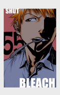 Ichigo on the cover of Chapter 55.