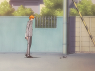 Ichigo finds a bloodstain where a young Plus used to reside.