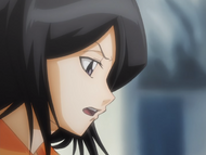 Rukia theorizes that a powerful Hollow is after Ichigo's soul.