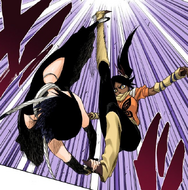 Suì-Fēng restrains Yoruichi's legs with Takigoi.