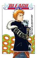 Ichigo on the cover of Chapter 22.