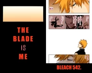 The cover pages of 542. THE BLADE IS ME.