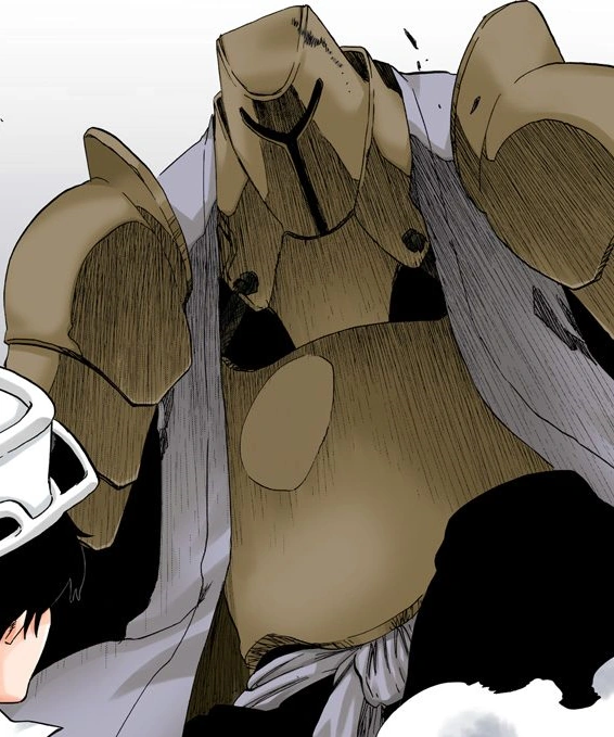 Bleach Captain Komamura Human Form