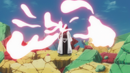 Mayuri self destructing his Bankai.