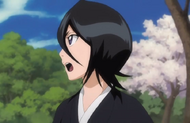 Rukia proclaims Renji should be grateful that Byakuya cares.