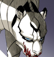 Grimmjow's face as an Adjuchas.