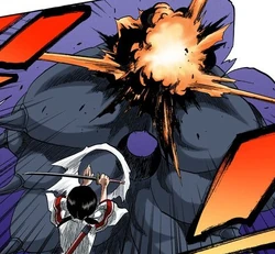 Shakkahō Bleach Wiki Fandom