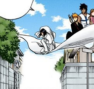 Orihime watches as Uryū prepares to get off the cloth.