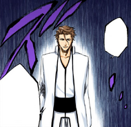 Aizen inquires about who sent out the Exequias.