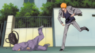 Ichigo punches the thief.