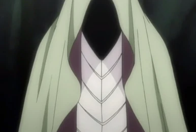 Bleach Anime 5th Anniversary Boxset | Bleach Wiki | Fandom