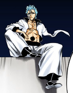 Grimmjow's appearance after his first battle with Ichigo.