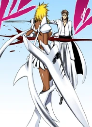 Aizen slashes Harribel.